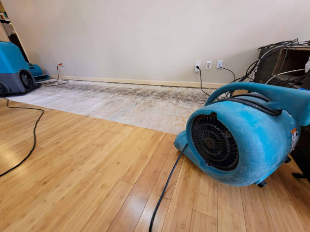 Professional Structural Drying technician working in Temple, ME